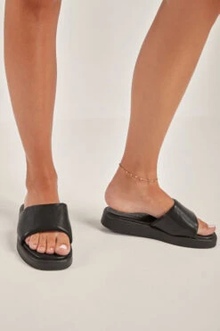 Πλατφόρμες Μονόχρωμες