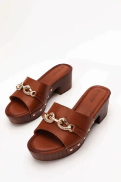 Clogs με Χρυσή Αγκράφα
